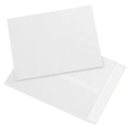 9 x 12 - White Flat Tyvek Envelopes 100/Case
