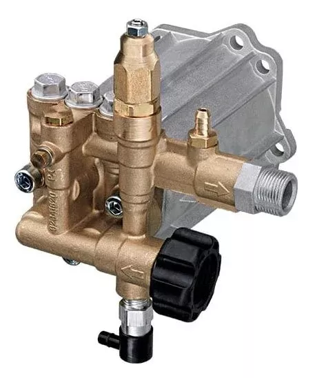 BE 3,000 PSI Pump Assembly - RMV Series, 3/4", Hollow Shaft, 5.4hp | RMV2.5G30D Assy