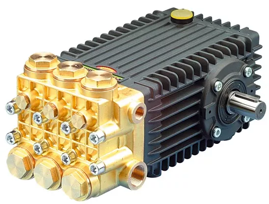 Interpump 3,045 PSI High Pressure Pump - 66 Series, 22hp | W2141